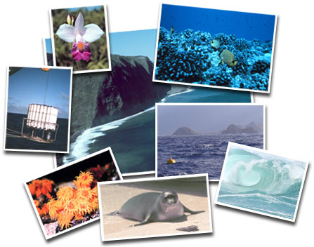 Collage of Hawaiian Archipelago images